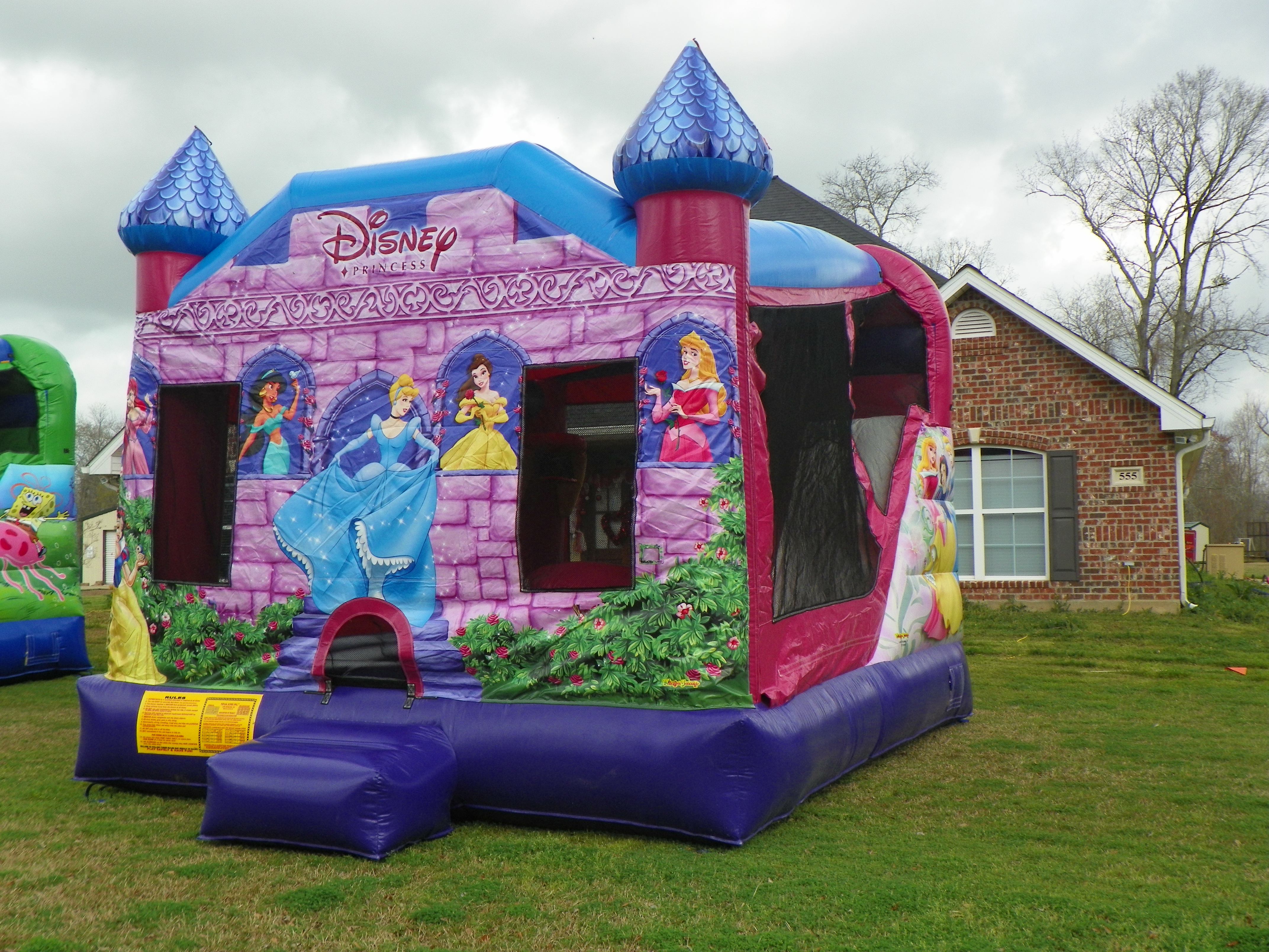 Princess Castle Combo